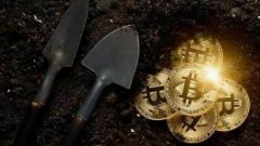 HashWhale创始人：亚洲家办