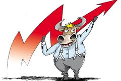 庄主：说人话唠点对散户真正有用的东西